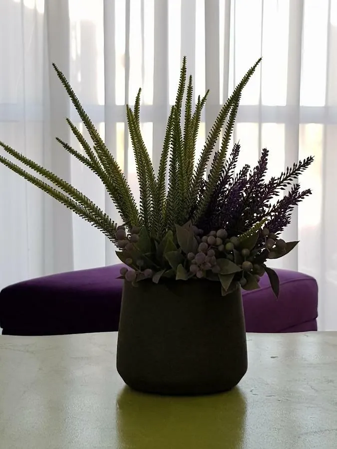 Leo Apartment By The Sea Eilat Israel